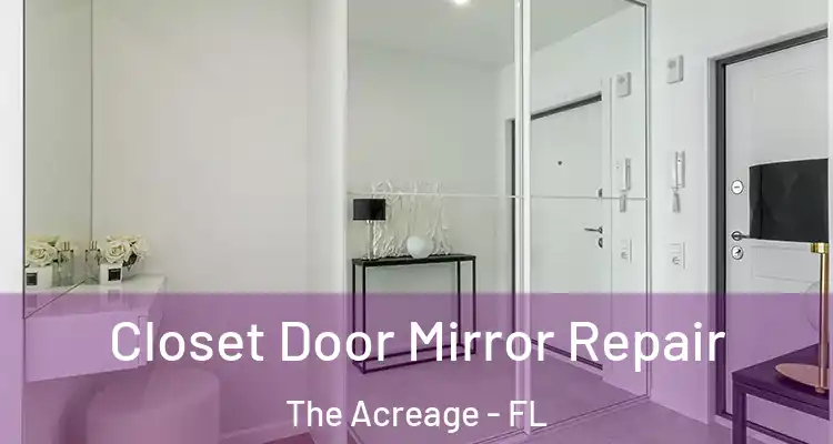 Closet Door Mirror Repair The Acreage - FL