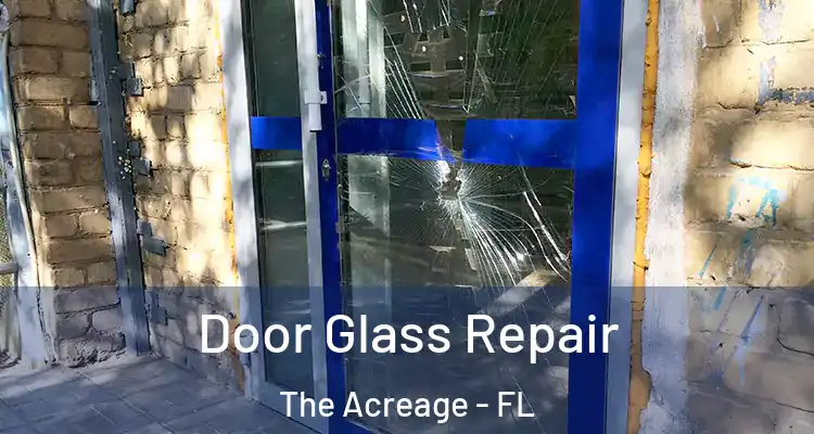 Door Glass Repair The Acreage - FL