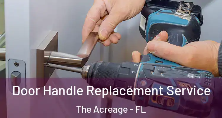 Door Handle Replacement Service The Acreage - FL
