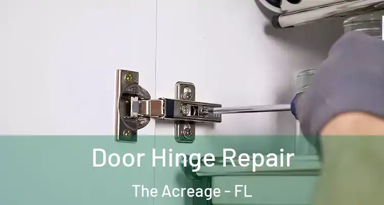 Door Hinge Repair The Acreage - FL