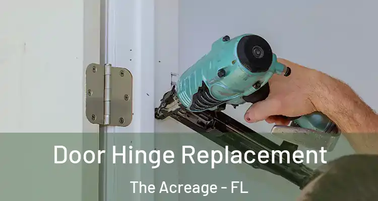 Door Hinge Replacement The Acreage - FL