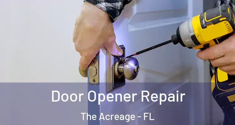 Door Opener Repair The Acreage - FL