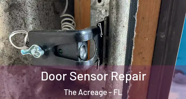 Door Sensor Repair The Acreage - FL