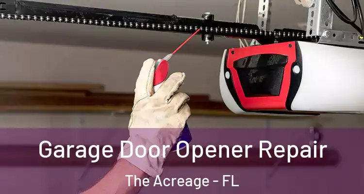 Garage Door Opener Repair The Acreage - FL
