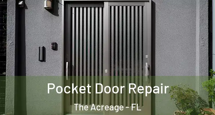 Pocket Door Repair The Acreage - FL