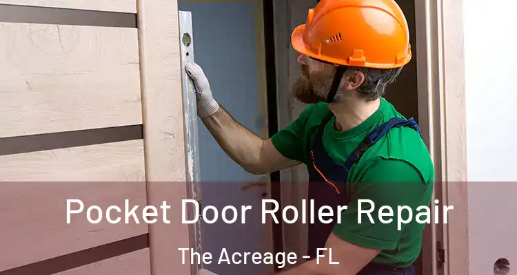 Pocket Door Roller Repair The Acreage - FL