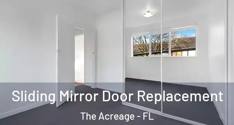 Sliding Mirror Door Replacement The Acreage - FL